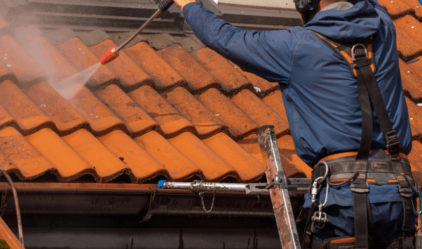 Roof Soft Washing